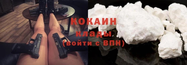 крисы Армянск