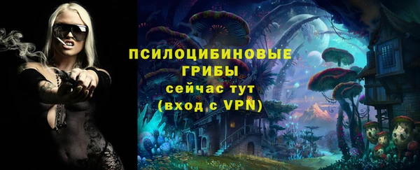 Альфа ПВП Балабаново