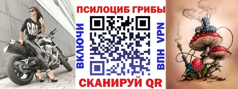 Псилоцибиновые грибы прущие грибы  Чудово 